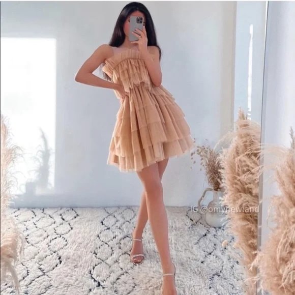 ZARA Tulle Dress Limited Edition Beige Pink Size L - Picture 4 of 13